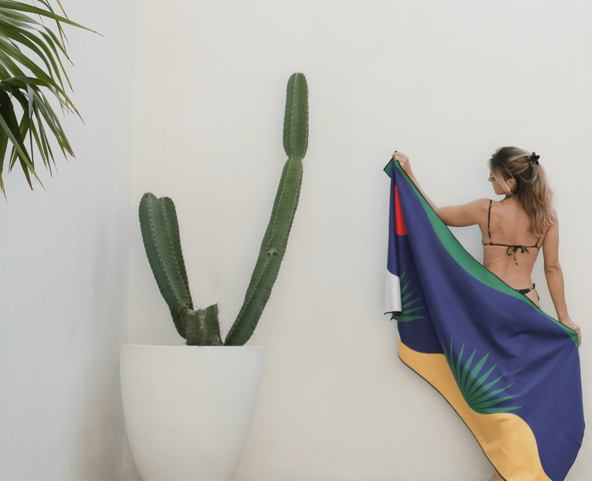Woman holding a colorful towel next to a potted cactus on a white wall
